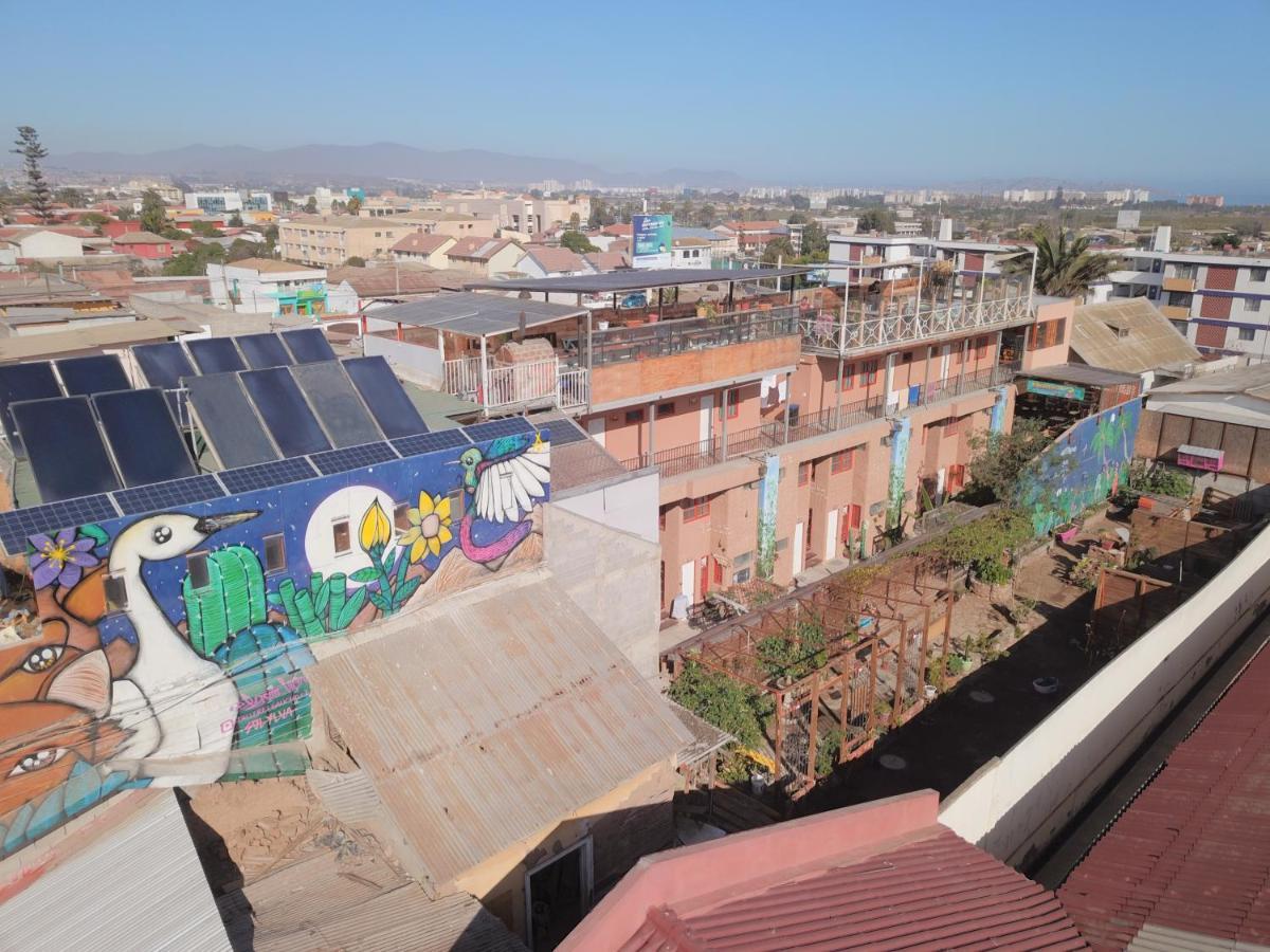 Hostal Valle Mistral La Serena Exteriör bild