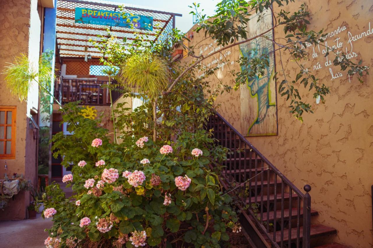 Hostal Valle Mistral La Serena Exteriör bild